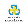 SCOUTS